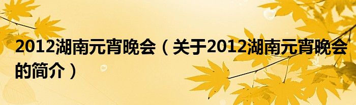 2012湖南元宵晚会（关于2012湖南元宵晚会的简介）