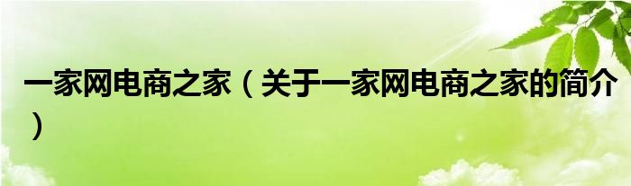 一家网电商之家（关于一家网电商之家的简介）