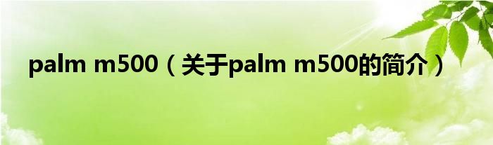 palm m500（关于palm m500的简介）