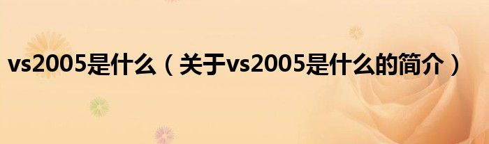 vs2005是什么（关于vs2005是什么的简介）