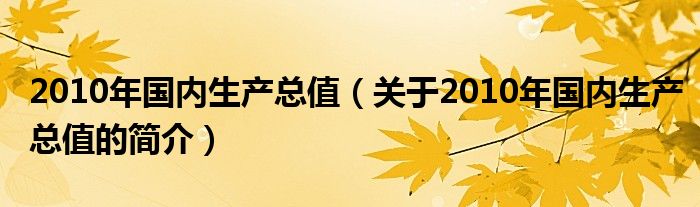 2010年国内生产总值（关于2010年国内生产总值的简介）