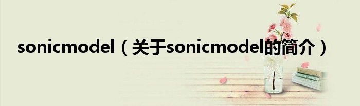 sonicmodel（关于sonicmodel的简介）