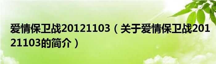 爱情保卫战20121103（关于爱情保卫战20121103的简介）