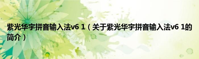 紫光华宇拼音输入法v6 1（关于紫光华宇拼音输入法v6 1的简介）