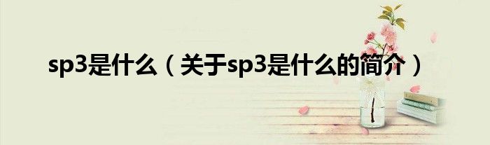 sp3是什么（关于sp3是什么的简介）