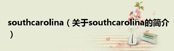 southcarolina（关于southcarolina的简介）