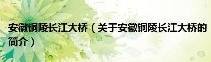 安徽铜陵长江大桥（关于安徽铜陵长江大桥的简介）