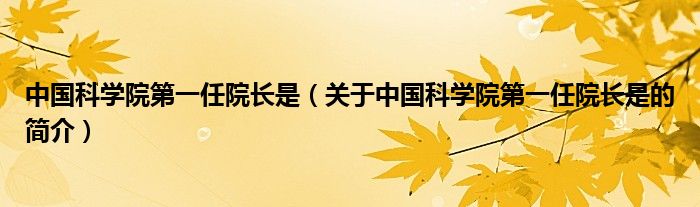 中国科学院第一任院长是（关于中国科学院第一任院长是的简介）