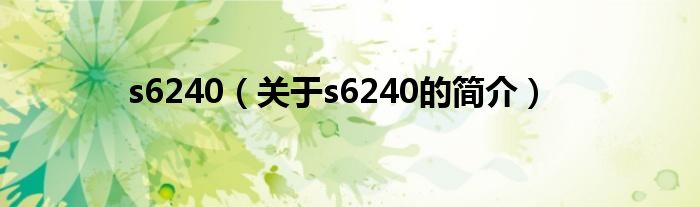 s6240（关于s6240的简介）