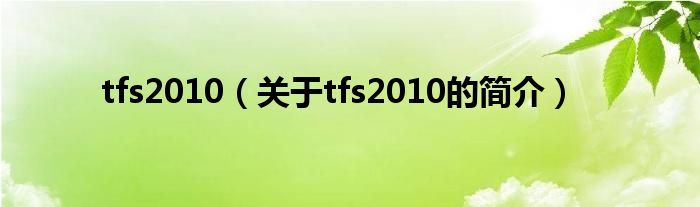 tfs2010（关于tfs2010的简介）