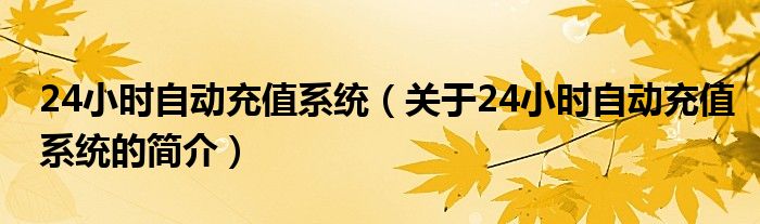 24小时自动充值系统（关于24小时自动充值系统的简介）