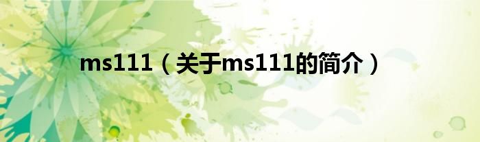 ms111（关于ms111的简介）