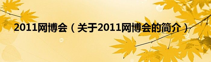 2011网博会（关于2011网博会的简介）