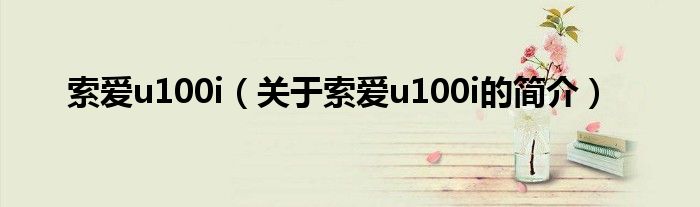 索爱u100i（关于索爱u100i的简介）