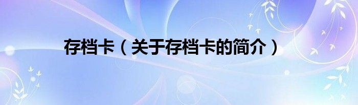 存档卡（关于存档卡的简介）