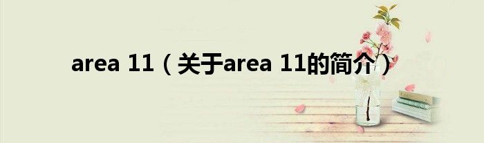 area 11（关于area 11的简介）