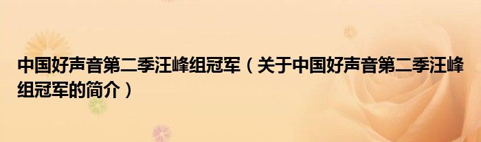 中国好声音第二季汪峰组冠军（关于中国好声音第二季汪峰组冠军的简介）