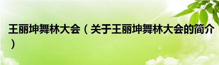 王丽坤舞林大会（关于王丽坤舞林大会的简介）