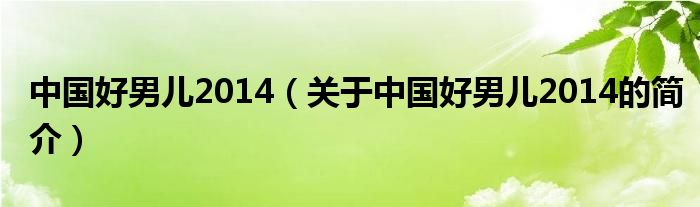 中国好男儿2014（关于中国好男儿2014的简介）