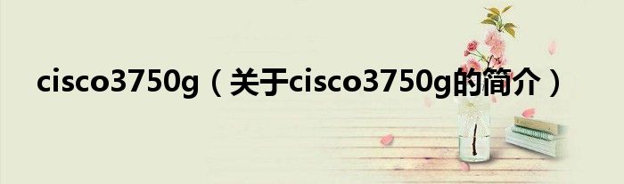cisco3750g（关于cisco3750g的简介）
