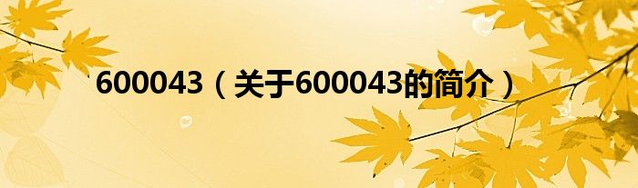 600043（关于600043的简介）