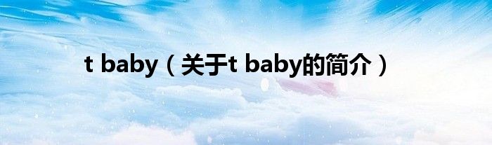 t baby（关于t baby的简介）