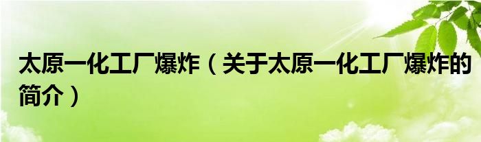 太原一化工厂爆炸（关于太原一化工厂爆炸的简介）