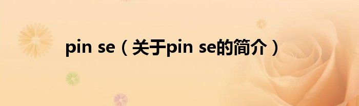 pin se（关于pin se的简介）