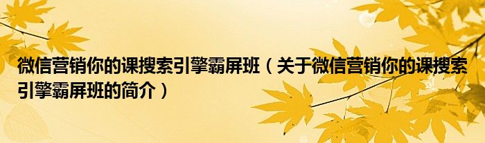 微信营销你的课搜索引擎霸屏班（关于微信营销你的课搜索引擎霸屏班的简介）