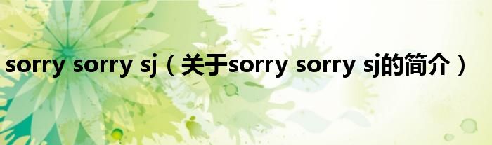 sorry sorry sj（关于sorry sorry sj的简介）