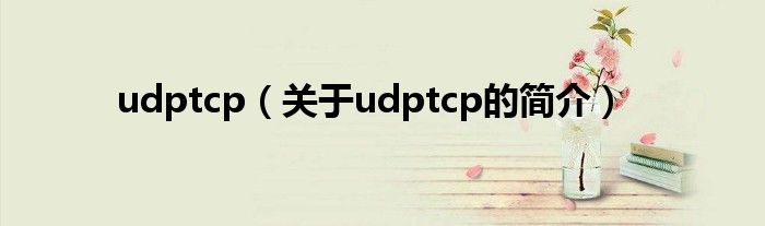 udptcp（关于udptcp的简介）