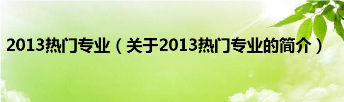 2013热门专业（关于2013热门专业的简介）