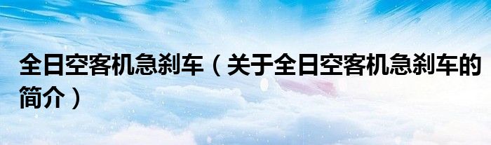 全日空客机急刹车（关于全日空客机急刹车的简介）