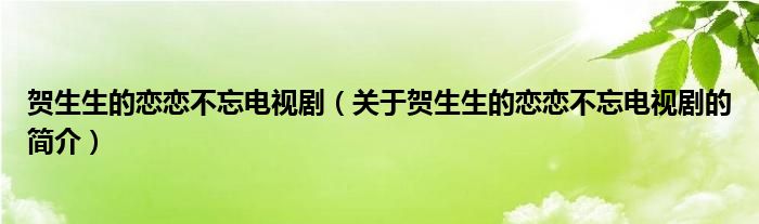 贺生生的恋恋不忘电视剧（关于贺生生的恋恋不忘电视剧的简介）