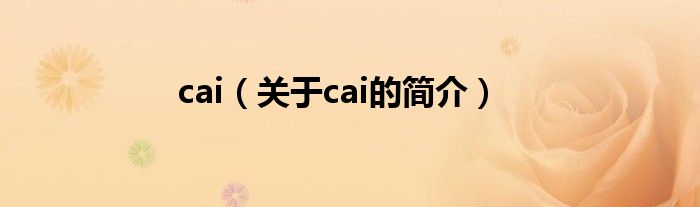 cai（关于cai的简介）