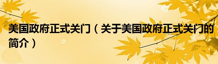 美国政府正式关门（关于美国政府正式关门的简介）