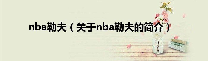 nba勒夫（关于nba勒夫的简介）