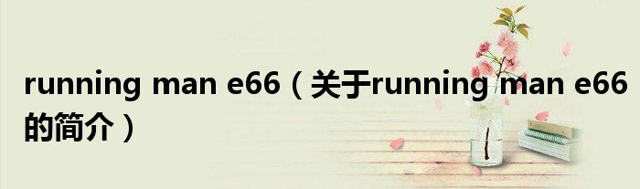 running man e66（关于running man e66的简介）