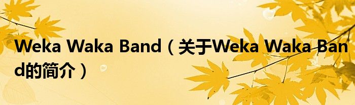 Weka Waka Band（关于Weka Waka Band的简介）