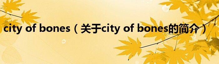 city of bones（关于city of bones的简介）