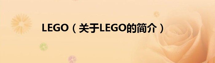 LEGO（关于LEGO的简介）