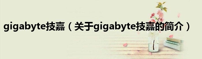 gigabyte技嘉（关于gigabyte技嘉的简介）