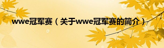 wwe冠军赛（关于wwe冠军赛的简介）