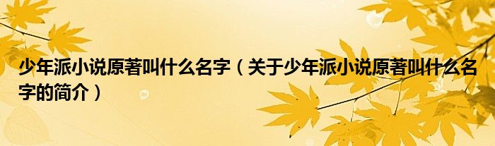 少年派小说原著叫什么名字（关于少年派小说原著叫什么名字的简介）