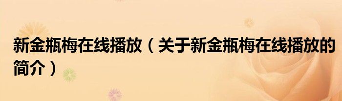 新金瓶梅在线播放（关于新金瓶梅在线播放的简介）