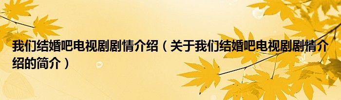 我们结婚吧电视剧剧情介绍（关于我们结婚吧电视剧剧情介绍的简介）