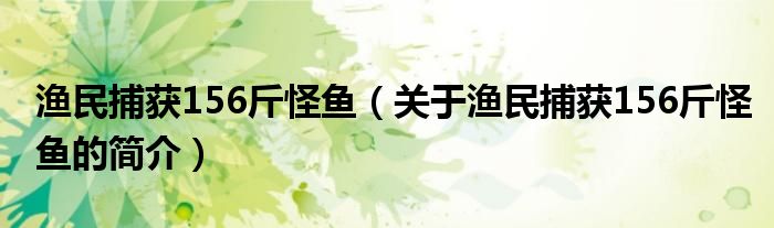 渔民捕获156斤怪鱼（关于渔民捕获156斤怪鱼的简介）