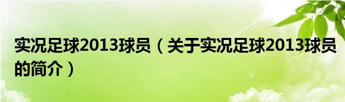 实况足球2013球员（关于实况足球2013球员的简介）