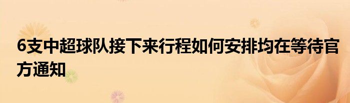 6支中超球队接下来行程如何安排均在等待官方通知