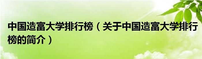 中国造富大学排行榜（关于中国造富大学排行榜的简介）